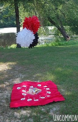 doll picnic blanketb