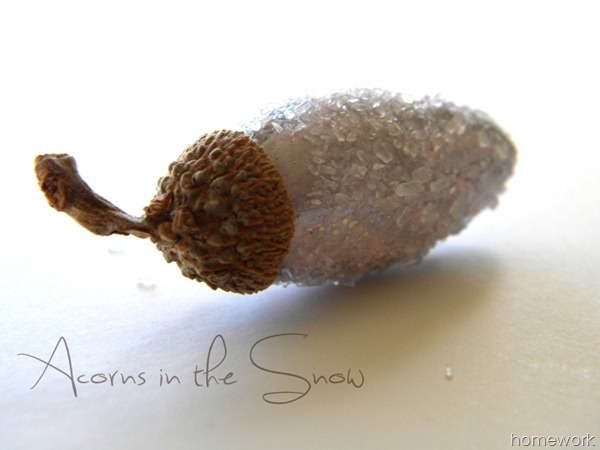 Acorns in the snow Uncommonly Yours link party feature