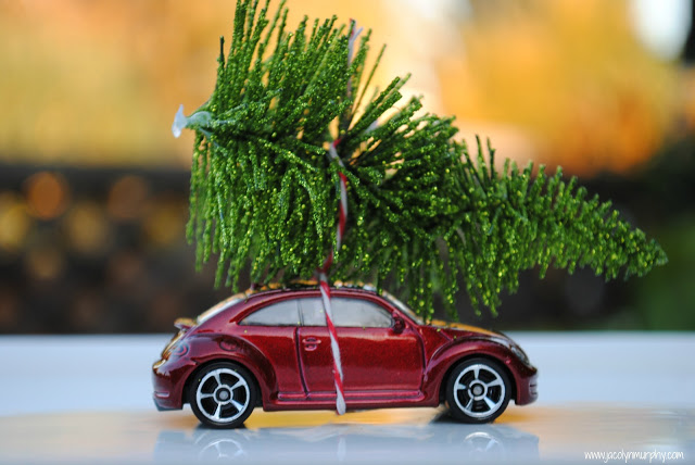 tiny tree trimming tiny tree trimming