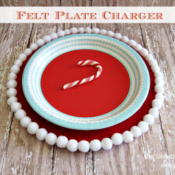 felt-pom-pom-plate-charger
