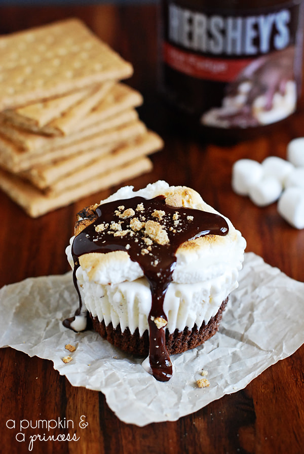 Smores-Ice-Cream-Cupcakes-Recipe (2)