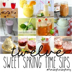 12-spring-drink-ideas-monday-funday