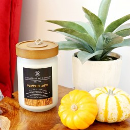 Celebrating fall in the south and bringing the season to life in our homes, no matter what the weather!