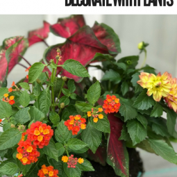 Bring on the color! Add beautiful plants to your decks and porches with plants to wake up your space and have your home ready for outdoor entertaining!