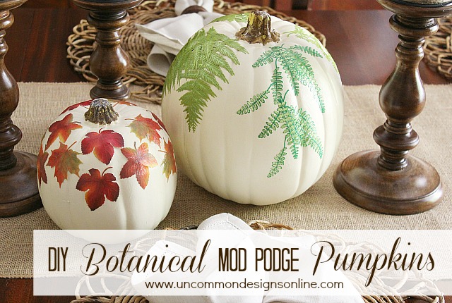DIY_Botanical_mod_podge_faux_pumpkins