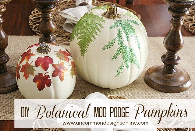 DIY Mod Podge Botanical Pumpkins - Uncommon Designs