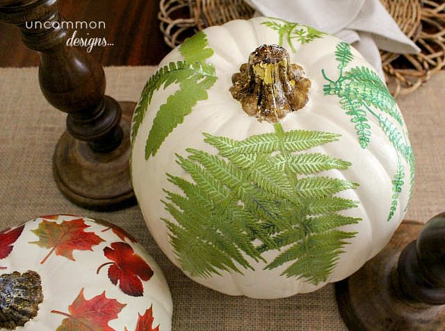 botanical_fern_mod_podge_pumpkin